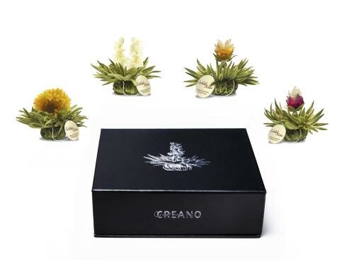 Creano Erblühteelini 6er Box Weisser Tee 4 Variationen in edeler Magnetbox