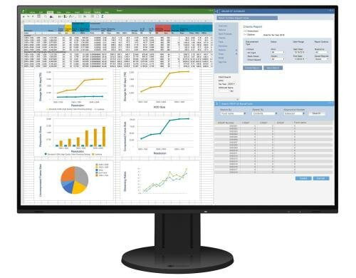 EIZO EV2457W-Swiss Edition 24.1 schwarz 1920x1200, 16:10, Randloses Display