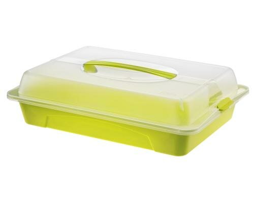 Rotho Partybutler COOL & FRESH hellgrün 435x295x110 mm, mit Kühlkissen