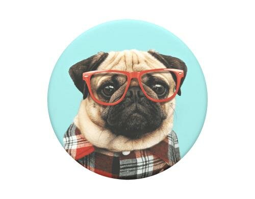 PopSockets Studious Stu Finger Griff Halterung