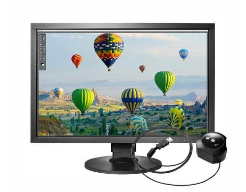 EIZO CS2410-PHOTO Swiss Garant24 1920x1200 inkl. Kalibrationssensor