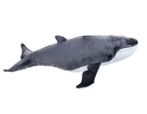 National Geographic Plüsch Wal 40 cm