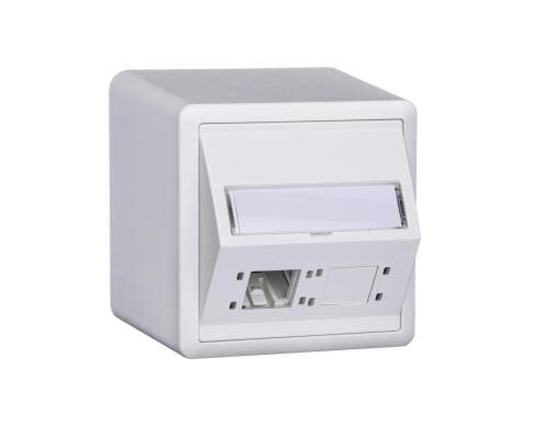 R + M AP DA-Dose EDIZIOdue 74x74 H54, 2Port Cat 6A 8.1 weiss