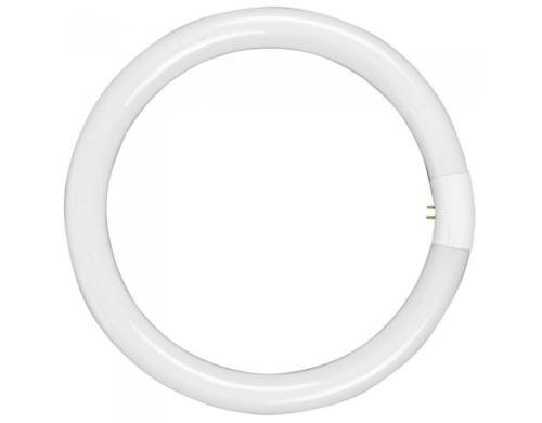 Walimex pro Ersatzlampe für Ringleuchte 75W