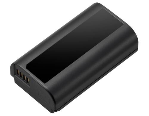 Panasonic Lithium-Ionen-Akku DMW-BLJ31E Für Lumix S1 und S1R