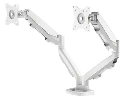 Fellowes Doppel-Monitorarm ESI Eppa weiss