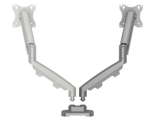 Fellowes Doppel-Monitorarm Set ESI Eppa silber