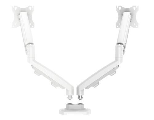 Fellowes Doppel-Monitorarm Set ESI Eppa weiss