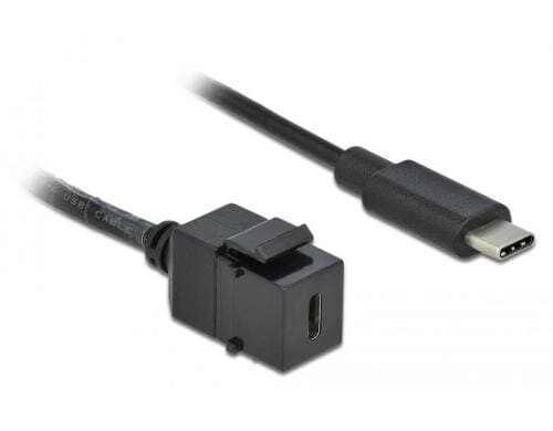 Delock Keystone Modul USB3.0 Typ-C, schwarz USB C-Buchse zu C-Stecker, 0.25M, schwarz