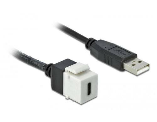 Delock Keystone USB2.0 C-Buchse - A-Stecker 0.25m, weiss