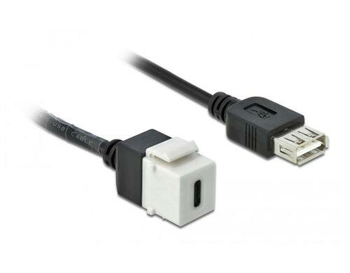 Delock Keystone Modul USB2.0 C-A Buchse 0.25m, USB C-Buchse zu A-Buchse, weiss
