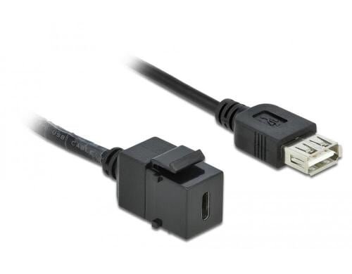 Delock Keystone Modul USB2.0 C-A Buchse 0.25m, USB C-Buchse zu A-Buchse, schwarz