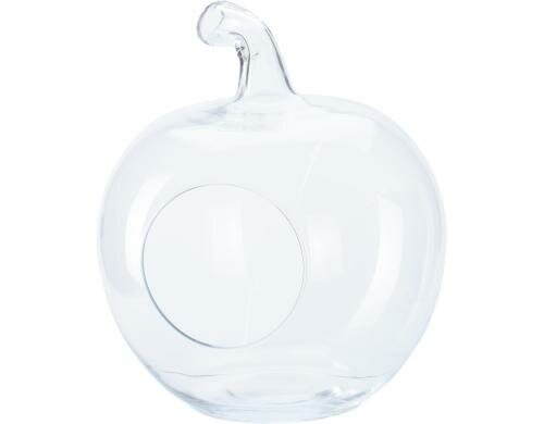 Home&Styling Pflanzgefäss Apfel Glas, H: 23.5 cm