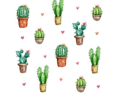 B+C Servietten Cactus Love 33x33 cm, 20 Stück