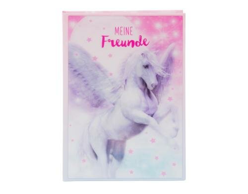 Goldbuch Freundebuch Pegasus 1 Stück, Grösse: A5, 88 Blatt