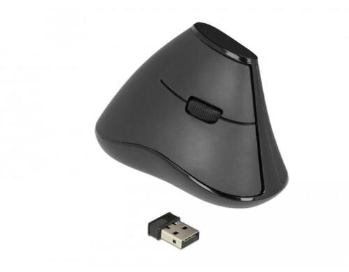 Delock 12622 5 Tasten Maus, 2.4GHz Lautlos