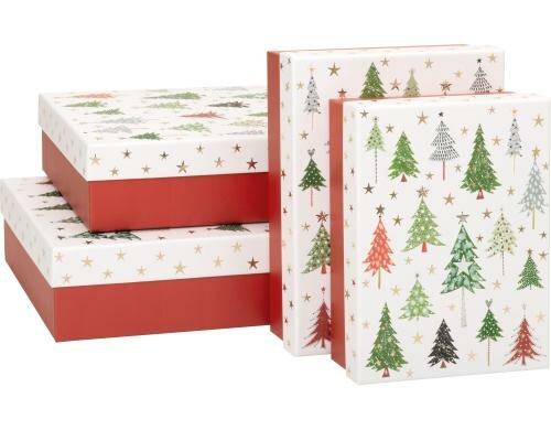 Stewo Geschenkboxen Ilan 4-teilig