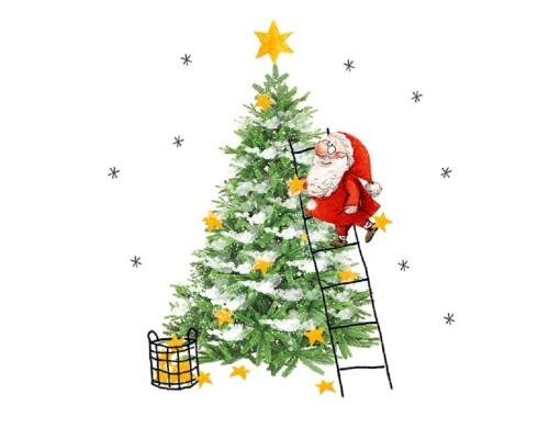 B+C Weihnachtsservietten X-Mas Eve Grösse 33x33cm, 20 Stück, 3-lagig