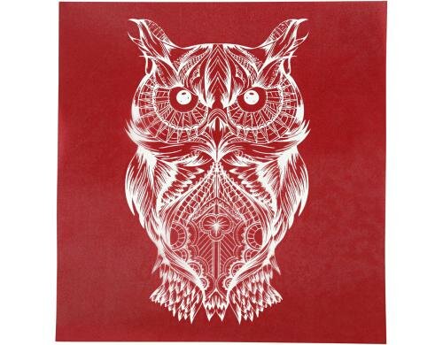 Creativ Company Schablone Siebdruck 20 x 22 cm, Eule