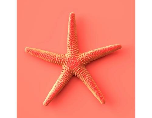 Paper + Design Servietten New Star Coral 33x33 cm, 20 Stück