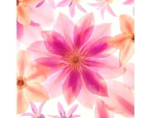 Paper + Design Servietten Pressed Flowers 33x33 cm, 20 Stück