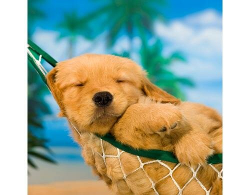 Paper + Design Servietten New Hammock 33x33 cm, 20 Stück