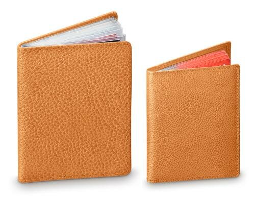 Swicure Schutzhülle Beige KIT schützt Ihre Bank- und Passkarten