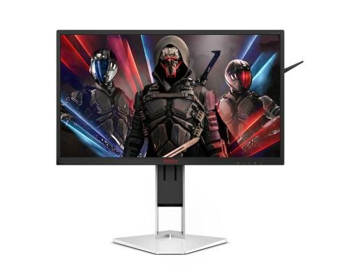 AOC 25 AG251FZ2E LED,1920x1080, gaming mon 0.5ms, DisplayPort/ HDMI / DVI / VGA, Pivot