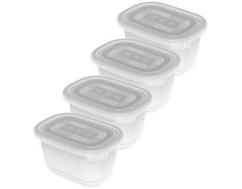 Rotho Gefrierdosen Set Freeze 4x 0.75 Liter, transp, 158x114x134 mm