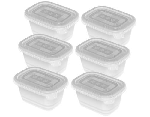 Rotho Gefrierdosen Set Freeze 6x 0.25 Liter, transp, 110x80x132 mm