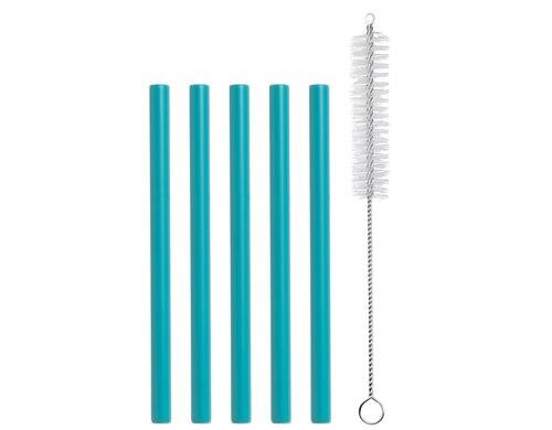 Strawganic Stahlstrohhalme Set gerade mint 5 Stück 13cm, inkl. Reinigungsbürste